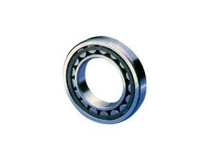 Single row cylindrical roller bearings