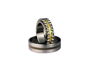 Double row cylindrical roller bearings