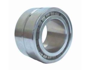 Full complement double row cylindrical roller bearings