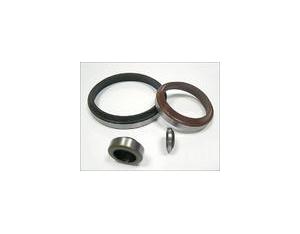 oil seal, sealing part