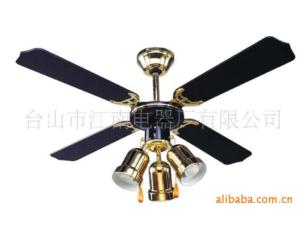 Gorgeous decorative ceiling fan