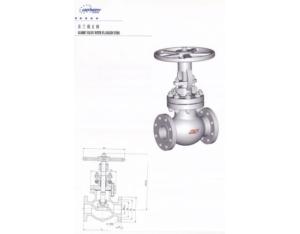 Globe Valve with Flanged Ends