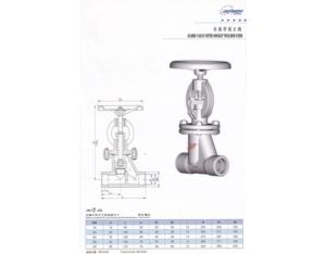 Globe Valve with Socket Welded Ends