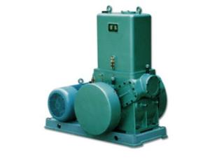 rotary piston vacuum pump