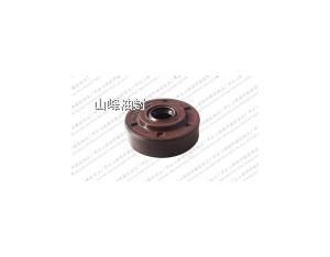 TBY oil seal