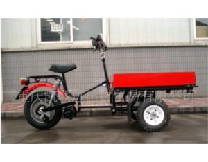 Tricycle Electrical Motorcycle