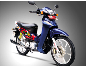 Motorcycle XGJ110-16D(E)