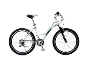 bicycle 2600109A