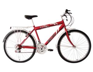 bicycle  2600226S
