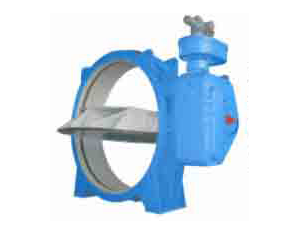 DN500-DN2000 Manual Butterfly Valve