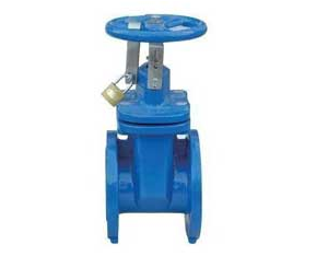 DN3352 F4 Non Rising Stem Resilient Seated Gate valve