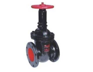 DIN3352 F4 Rising Stem Resilient Seated Gate Valve