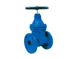 BS 5163 Non Rising Stem Resilient Seated Gate Valve