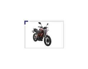 motorcycle RT200-2