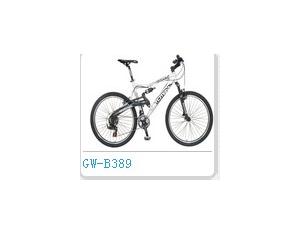 mountain bike GW-B389