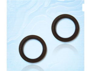 Oil seal