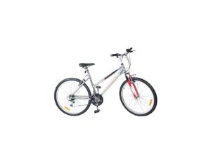 Adult Bicycle SX2622