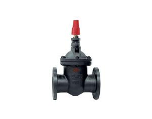 NF GATE VALVE