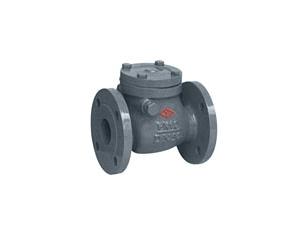 DIN SWING START CHECK VALVE