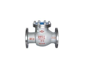  CHECK VALVE