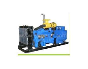 Diesel Generator(ShangChai Branch)