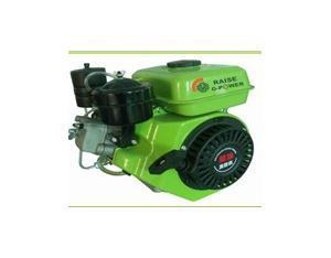 Diesel Generator(RZ170F-new)