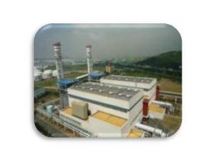 Coal Fired,Oil /Gas,Renewable Power Plants,Transmission and Distribution,Substation, Envir