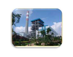 Coal Fired,Oil /Gas,Renewable Power Plants,Transmission and Distribution,Substation, Envir