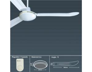 Ceiling fan(AA050029A)