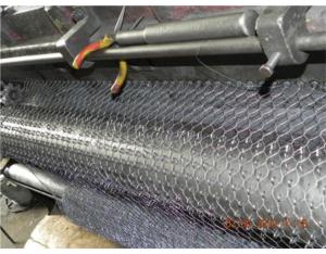 Hexagonal Wire Mesh