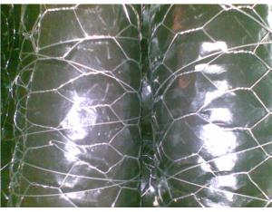 Hexagonal Wire Mesh