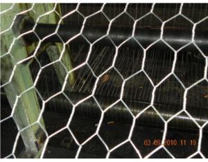 Hexagonal Wire Mesh