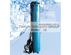 6 inch Submersible motor