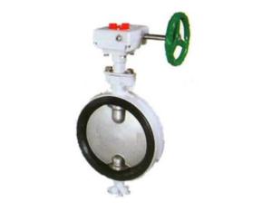 Dual-axle Butterfly Valve