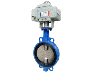 Dual-axle Butterfly Valve