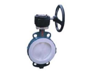 Dual-axle Butterfly Valve