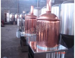 200L micro beer brewery equipment