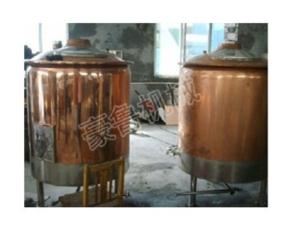 500L micro beer brewery equipment