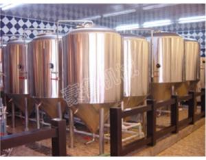 1000L micro beer brewery equipment