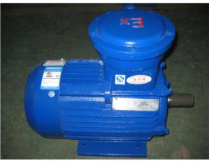 electric motor