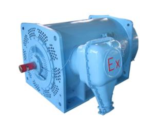 electric motor