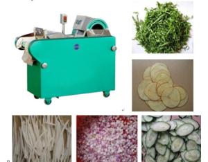 Multifunctional Vegetable Cutter