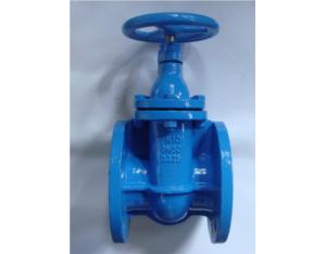 DIN3352 F4 cast iron gate valve