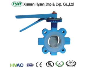 Double Flanged Butterfly Valve