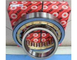 Cylindrical Roller Bearing