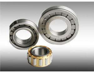 Cylindrical Roller Bearing