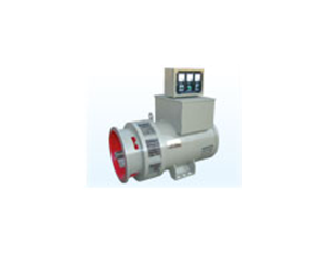 TZH series, after excitation ac synchronous generator