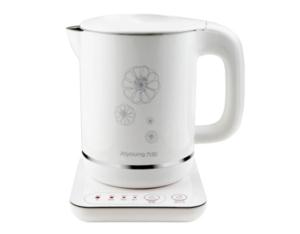 electric kettle FG35