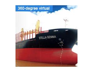 bulk cargo ship