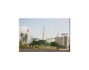 Maoming coal-water slurry power plant